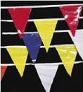 Pennant Flags 9" x 12" - Case of 10
